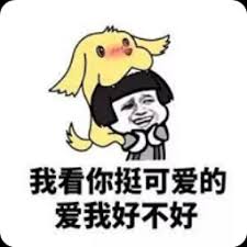 greyhound dog racing online betting Anda dan Xiaoyu sama-sama datang ke Cabang Fulu selama hampir delapan bulan.